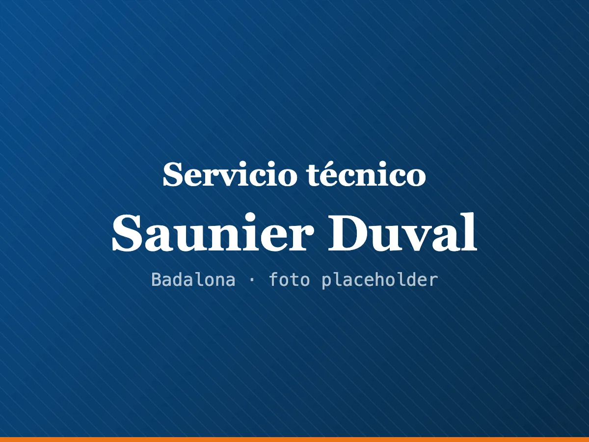 Servicio técnico de calderas Saunier Duval en Mataró