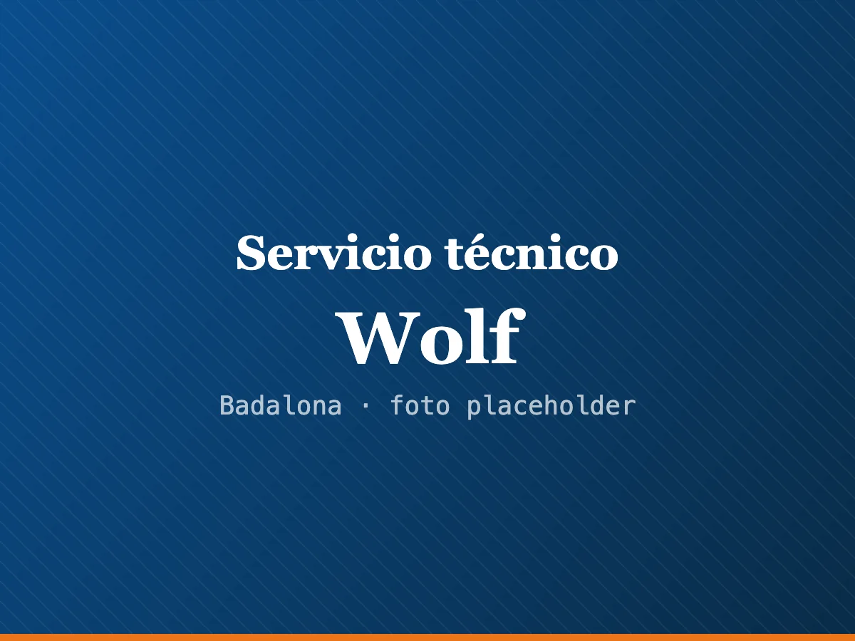 Servicio técnico de calderas Wolf en Mataró